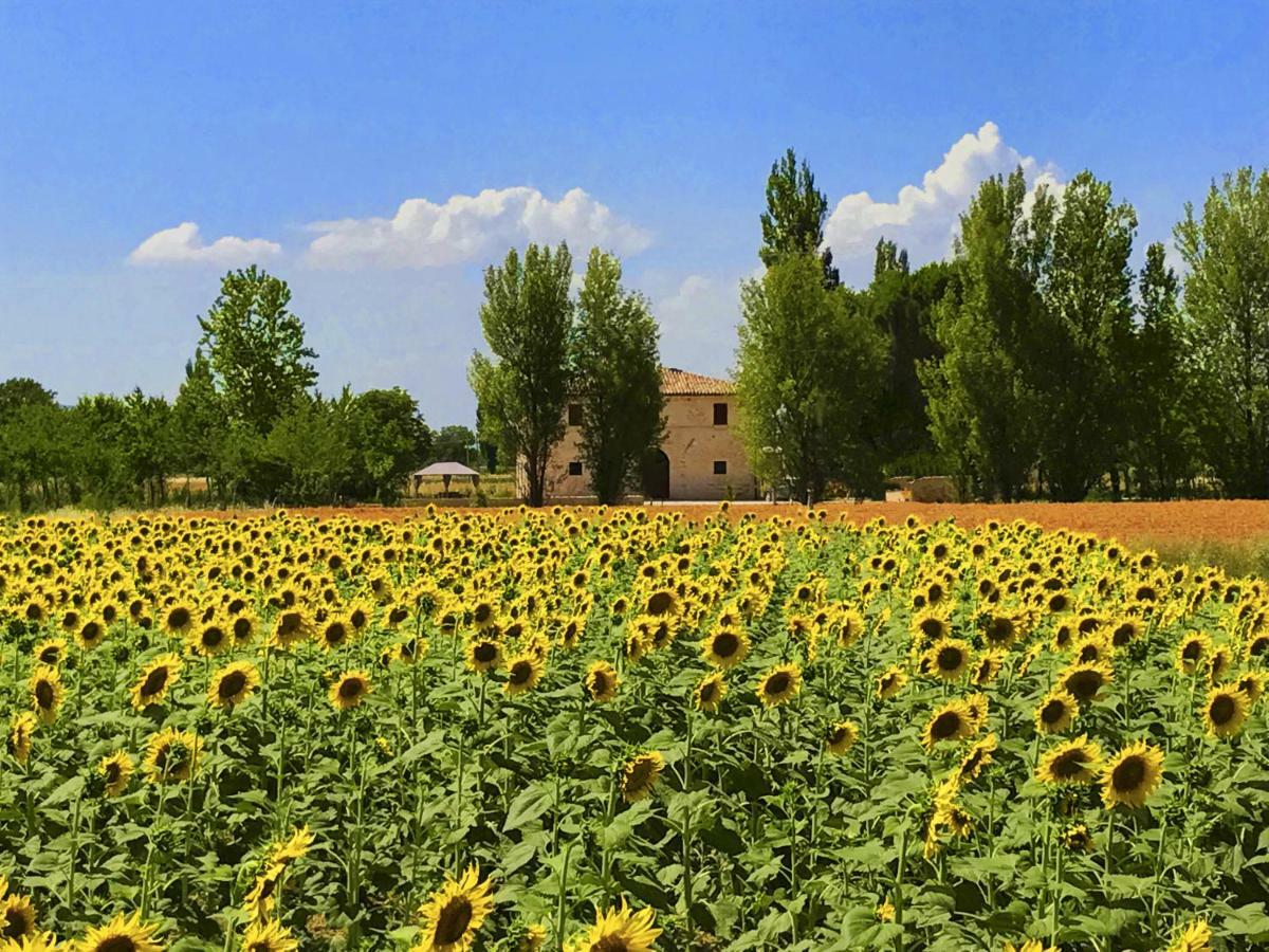 Villa Licinia Foligno Dış mekan fotoğraf