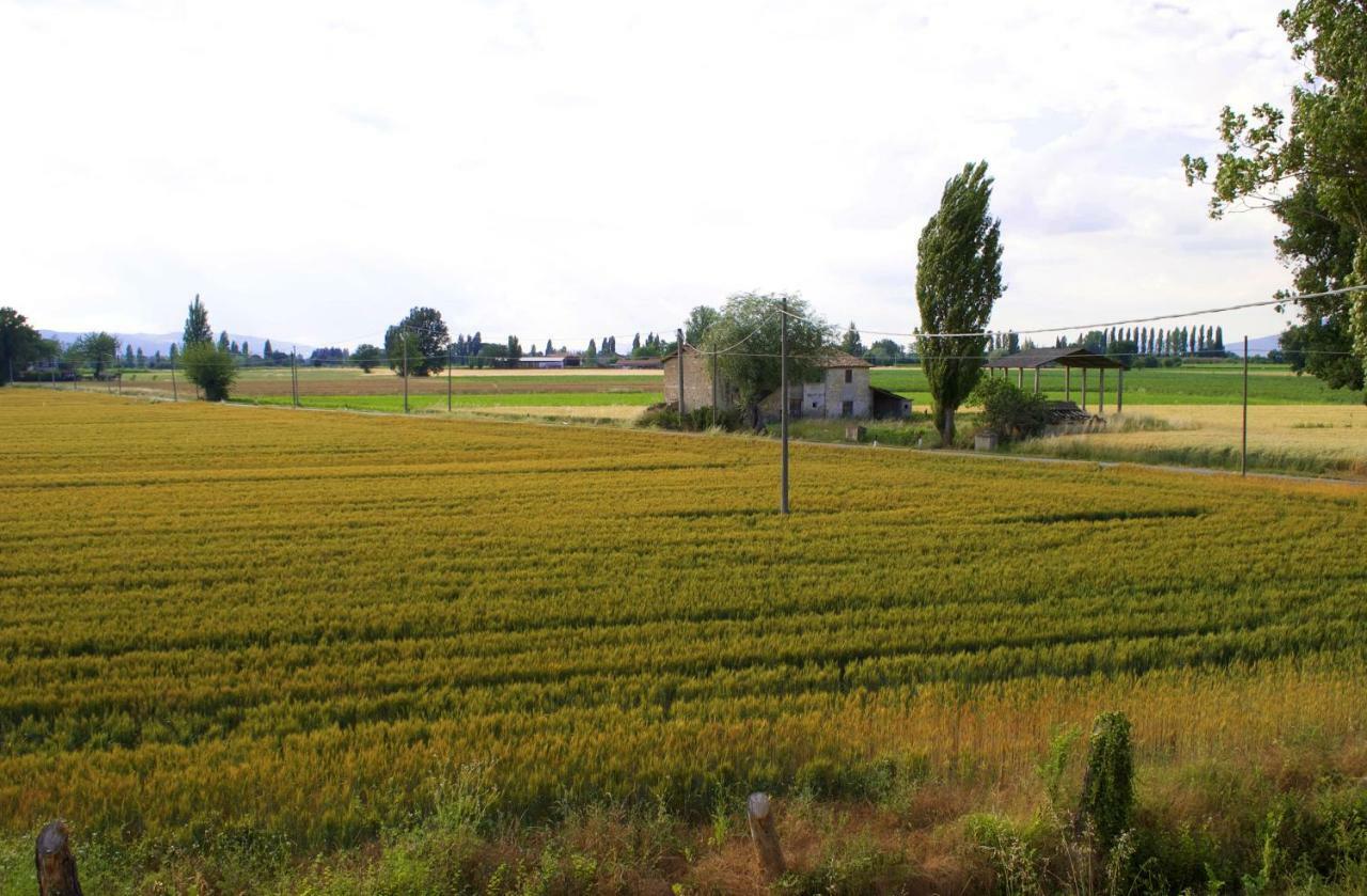 Villa Licinia Foligno Dış mekan fotoğraf