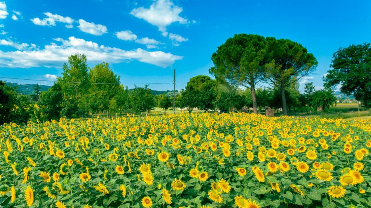 Villa Licinia Foligno Dış mekan fotoğraf